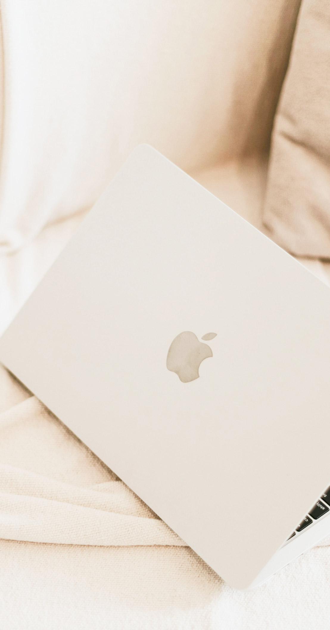 accompagnement création de site wordpress