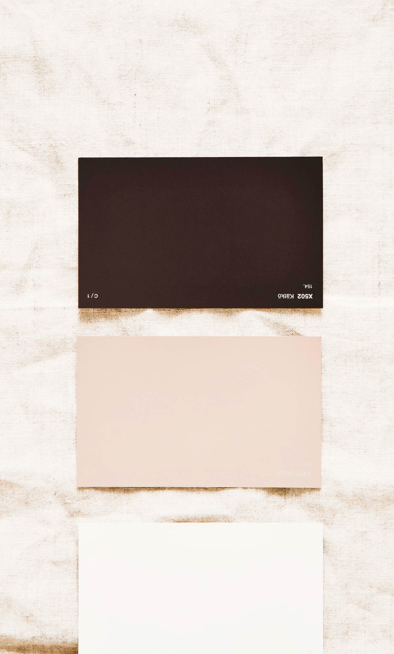 bénéfices concret à propos création de site wordpress