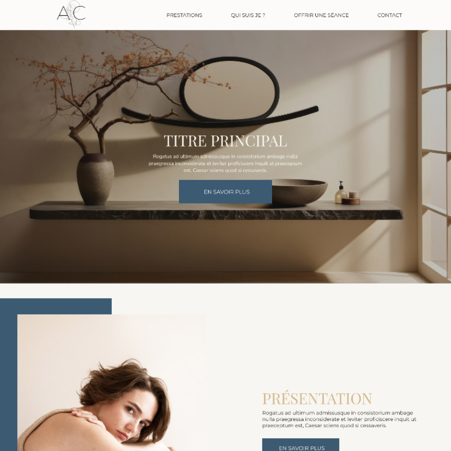 offre capsule création de site wordpress