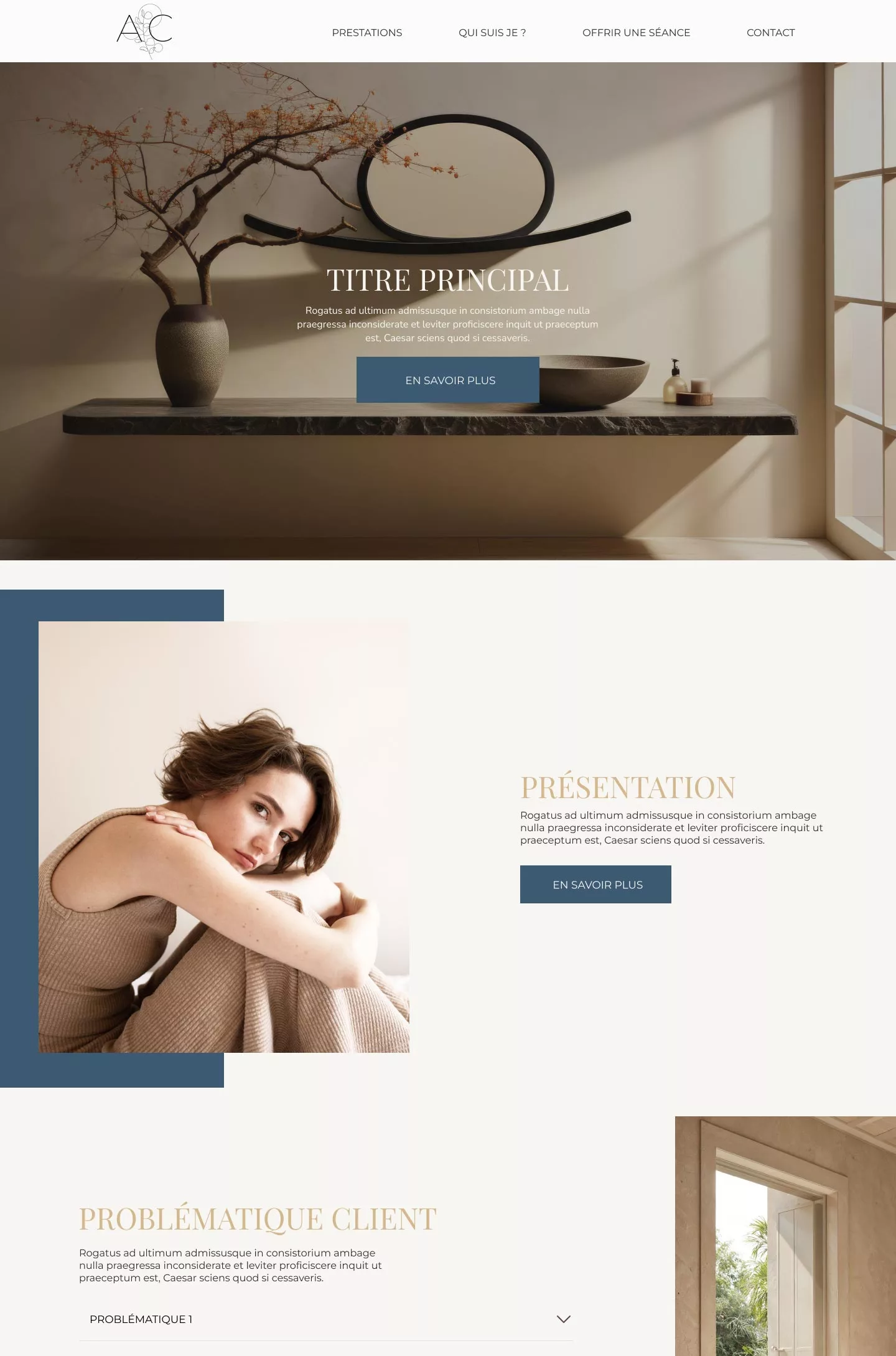 site vitrine wordpress hero capsule explications