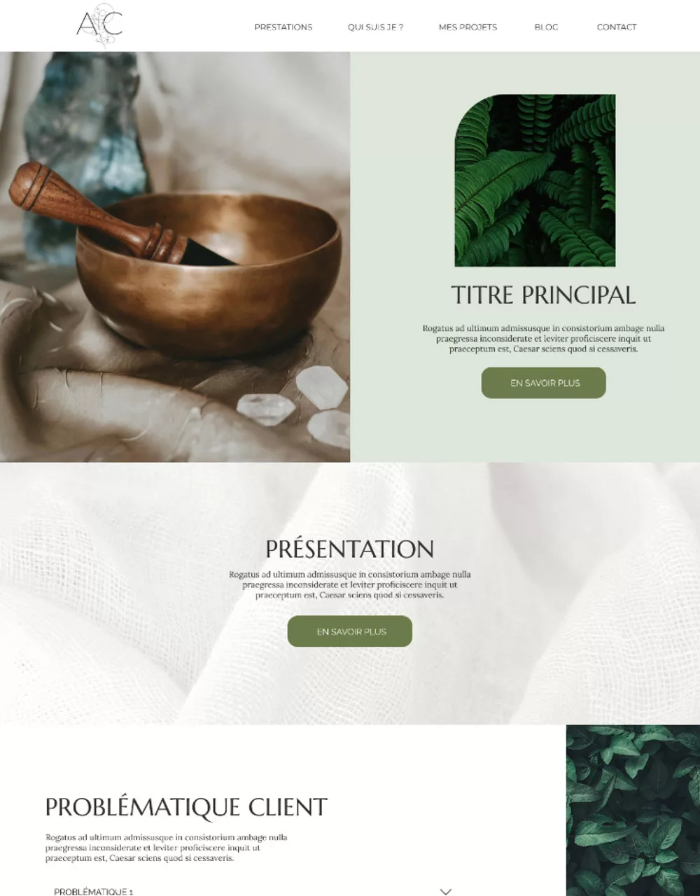 site vitrine wordpress capsule template éclosion
