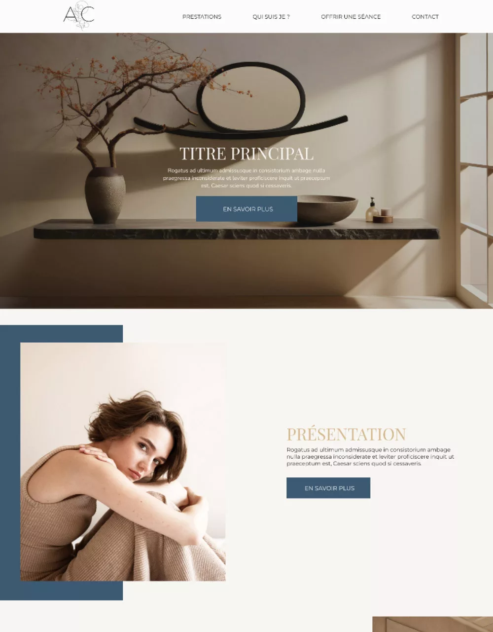 site vitrine wordpress capsule template épure
